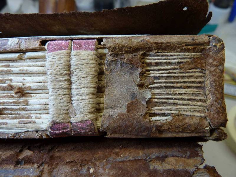 dorso-dettaglio-1024x1365